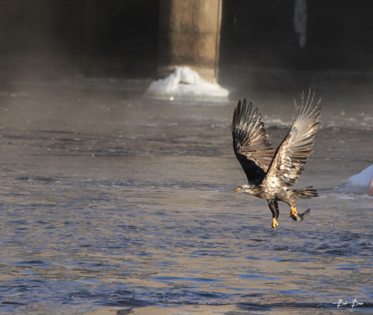 Nature photograph by Bob Bowser