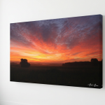 11×14" Fine Art Print